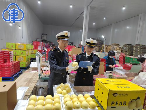 为企业解难题畅通路，天津新港海关助力特色农产品扩大出口