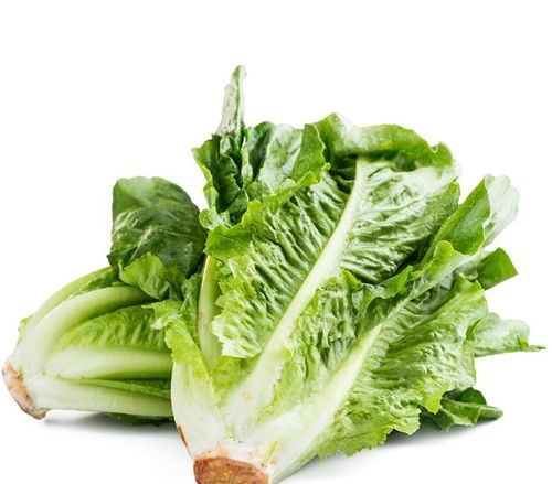 秋日养胃正当时，四种应季美味助孩子健康过秋